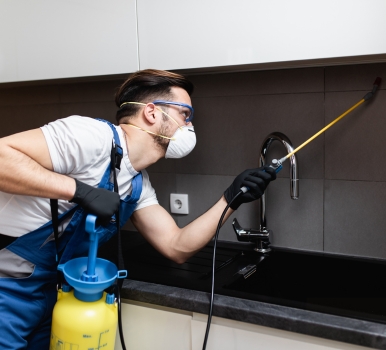 Chris Pest Control Chirnside Park Milestone